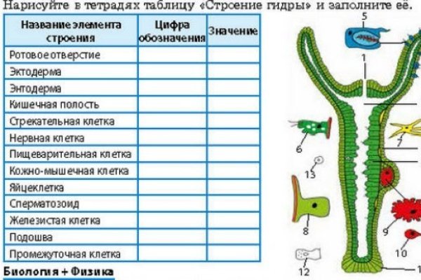 Кракен это что за сайт