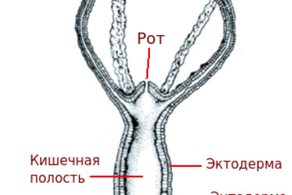 Кракен дарк